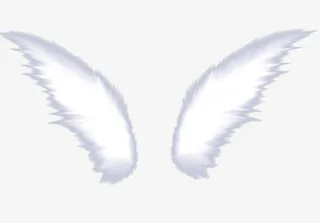 白色唯美羽毛翅膀免抠