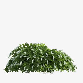 草丛春天装饰免抠