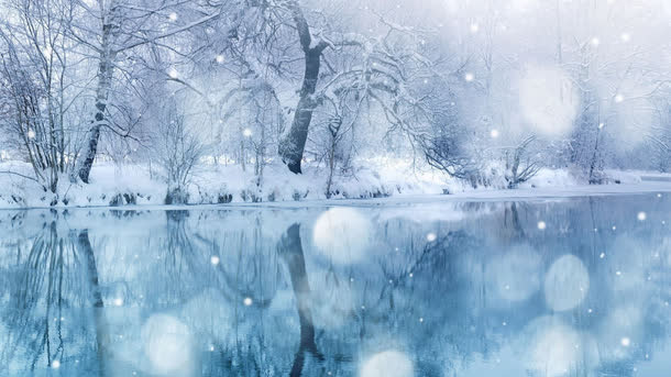 雪花树林湖面风景免抠