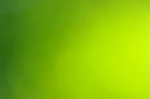 绿色渐变背景