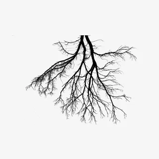 手绘枯树枝免抠