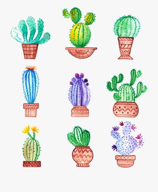 精美手绘多肉盆栽装饰插画素材免抠