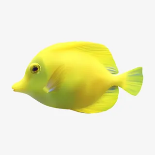 海底生物小鱼。。免抠