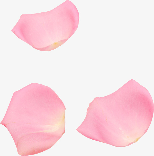粉色散落花瓣免抠