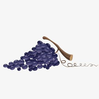 矢量紫色葡萄免抠