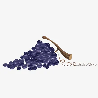 矢量紫色葡萄免抠