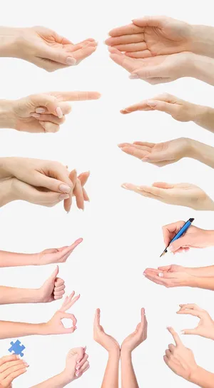 各种手势合集免抠