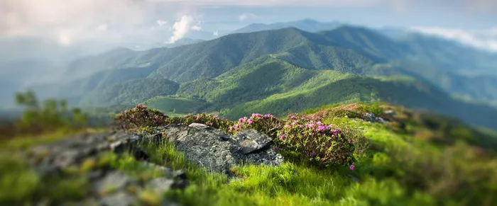 自然绿色远山背景高清