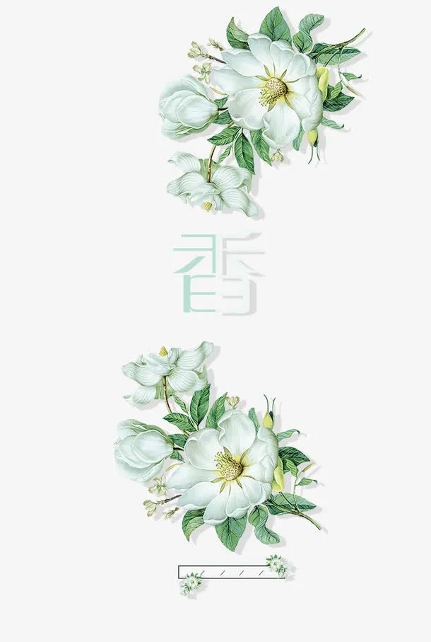 绿色时尚创意香水化妆品背景素材免抠