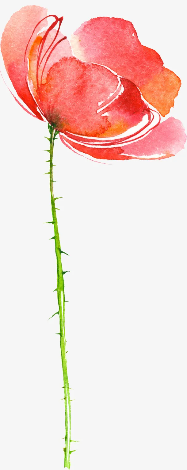 手绘卡通装饰花瓣花草装饰海报设免抠