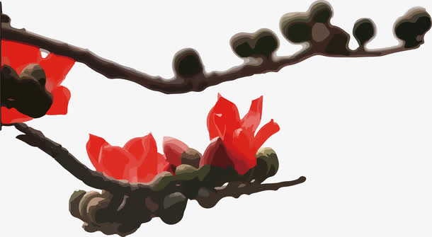 正面拍摄木棉花的繁茂免抠