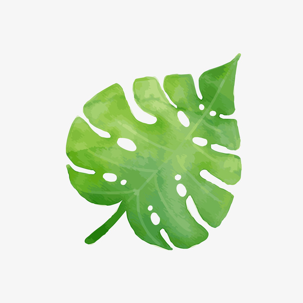 手绘夏季绿色叶子植物免抠