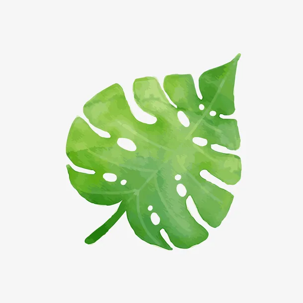 手绘夏季绿色叶子植物免抠