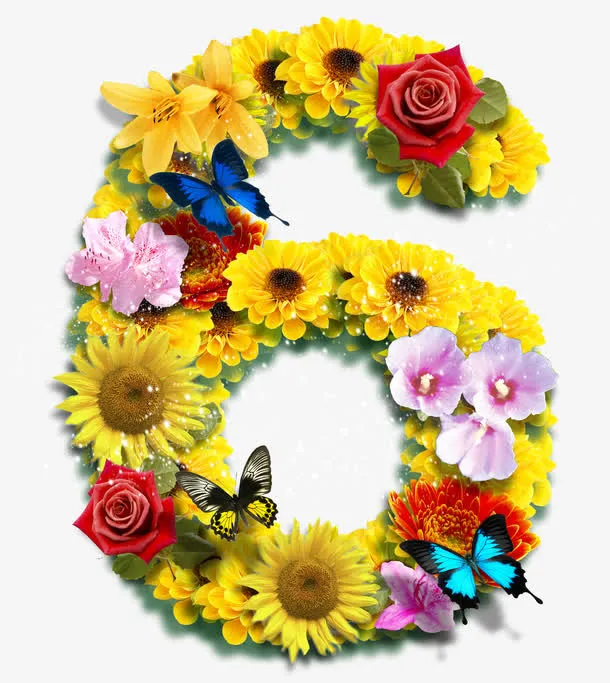 鲜花数字6免抠