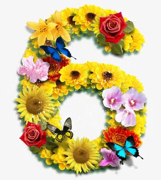鲜花数字6免抠