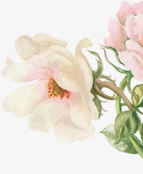 春季手绘粉色水彩花朵免抠