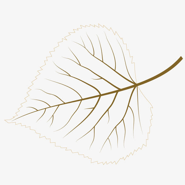 矢量艺术植物树叶免抠