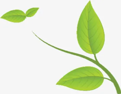 卡通绿叶树枝 装饰绿叶免抠