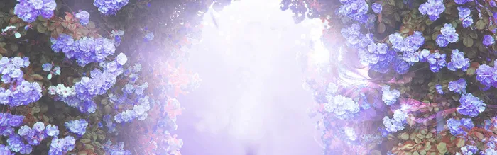 天猫淘宝服装家电清新花朵温情浪漫背景高清