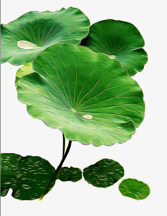 荷叶免抠