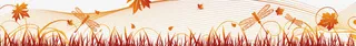 蜻蜓秋天的banner素材
