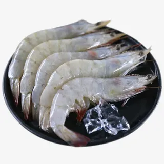 大虾免抠素材免抠