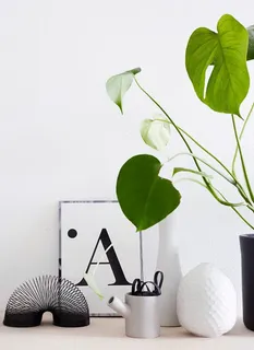 清新绿色植物室内免抠