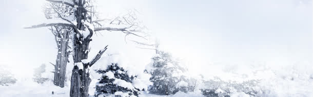 干枯的树枝雪花雪景免抠