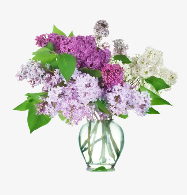 紫薇花桌花图片素材免抠
