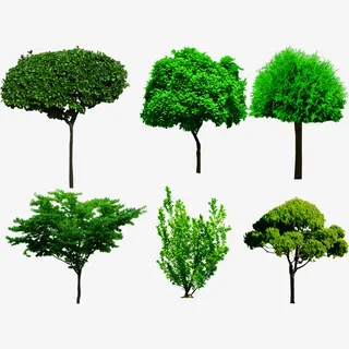 png 城堡 抠图 树木 树木免抠