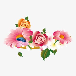 矢量装饰花卉免抠