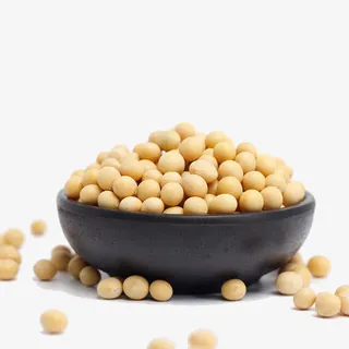 小黄豆摄影免抠