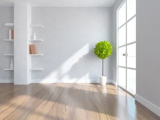 绿植 客厅要板海报背景素材高清摄影风景背景