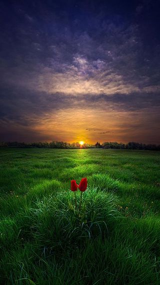 云彩云朵草地H5背景高清