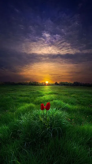 云彩云朵草地H5背景高清