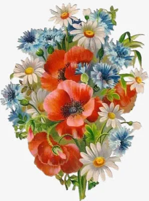 一束花朵免抠