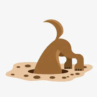 狗狗挖地洞免抠