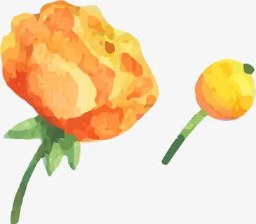 手绘花朵免抠