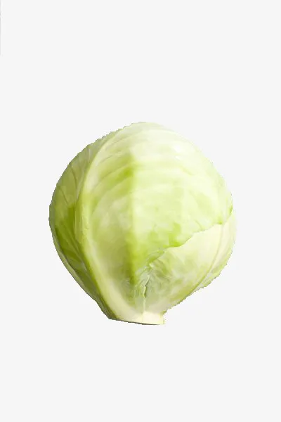 莲花白图片免抠