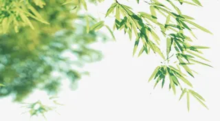 绿色春天竹叶装饰免抠