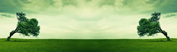 淘宝环保banner背景图