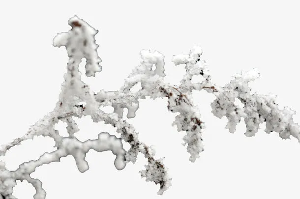 白色雪枝素材免抠