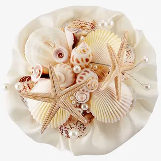贝壳装饰物免抠