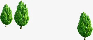 绿色春天植物大树景观免抠
