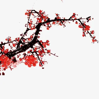腊梅免抠