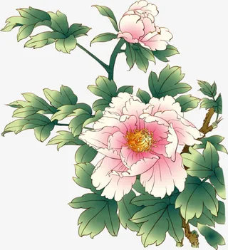 中国国花牡丹免抠