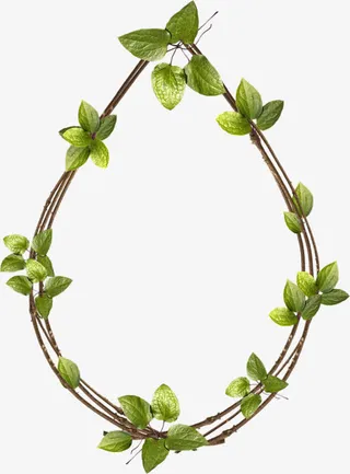 绿叶装饰边框免抠