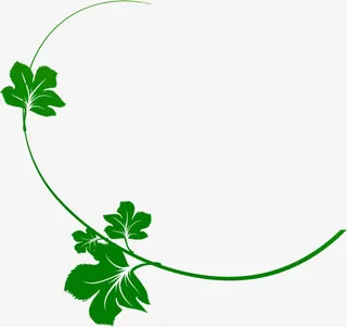 春天绿色树叶风景免抠