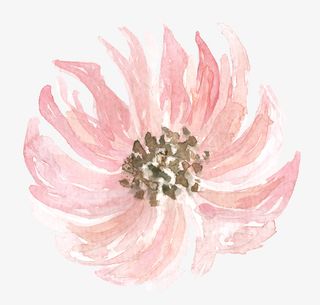 唯美水彩花朵素材免抠