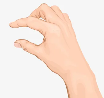 矢量拿捏的手势免抠